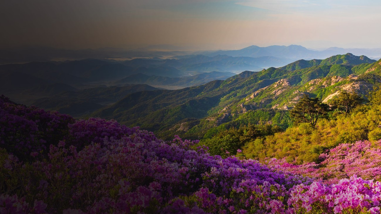 Games like Just Find It 2 Collector's Edition