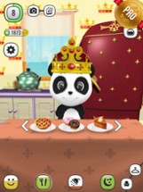 ! My Talking Panda MO - Virtual Pet PRO Image