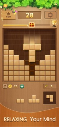 Block puzzle Casual game woody screenshot