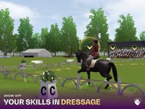 FEI Equestriad World Tour Image