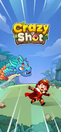 Crazy Shot screenshot