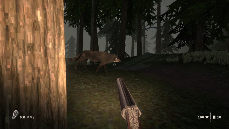 Raccoon Hunter Image