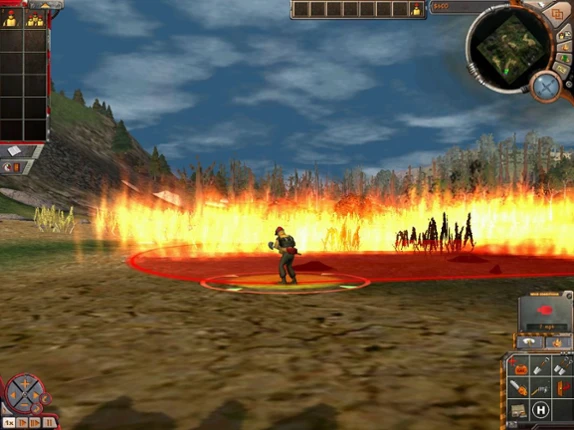 Wildfire Image