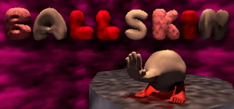 BALLSKIN Image