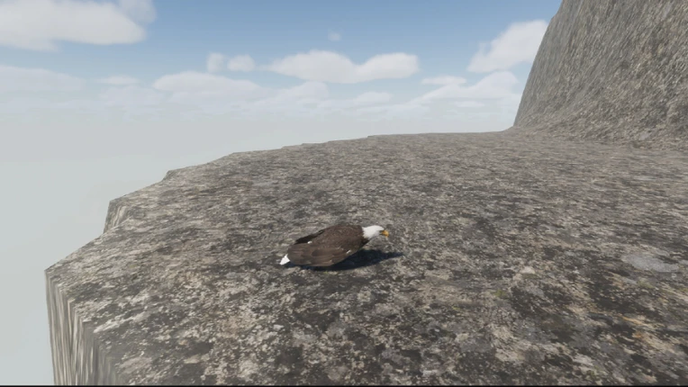 Bird Game 3 Image