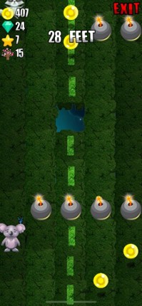 Koala Adventure Image