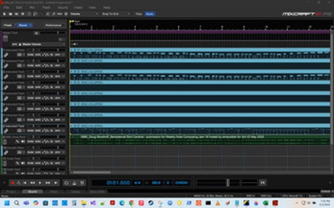Sempiternal Skid Canticle Image