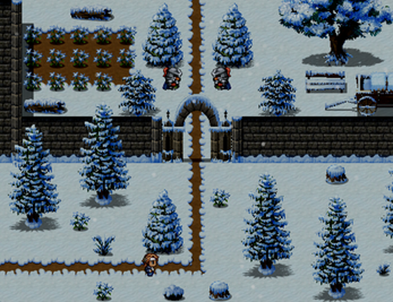 Tuesday Winter Image