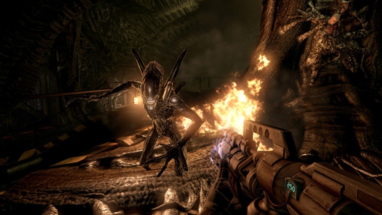 Aliens vs. Predator Image