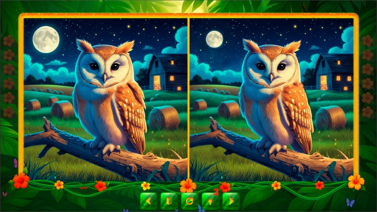 BirdQuest  Find the Difference screenshot