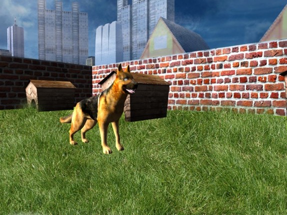 Crazy Horse Animal Transport - Deliver Horse & Dog In Transporter Truck screenshot