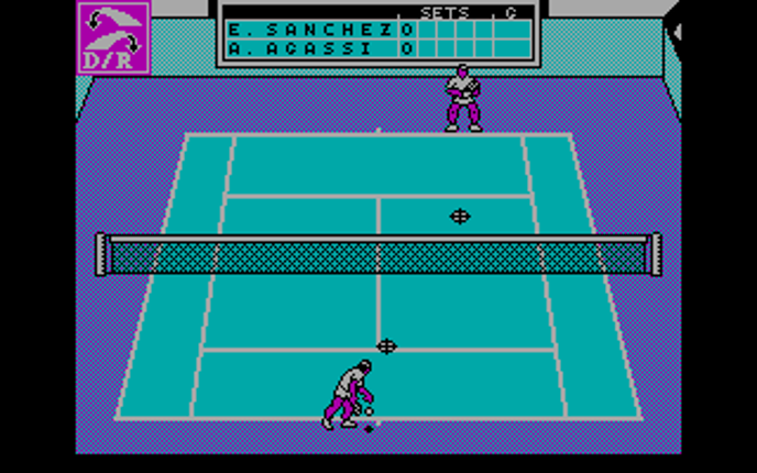 Emilio Sanchez Vicario Grand Slam Image