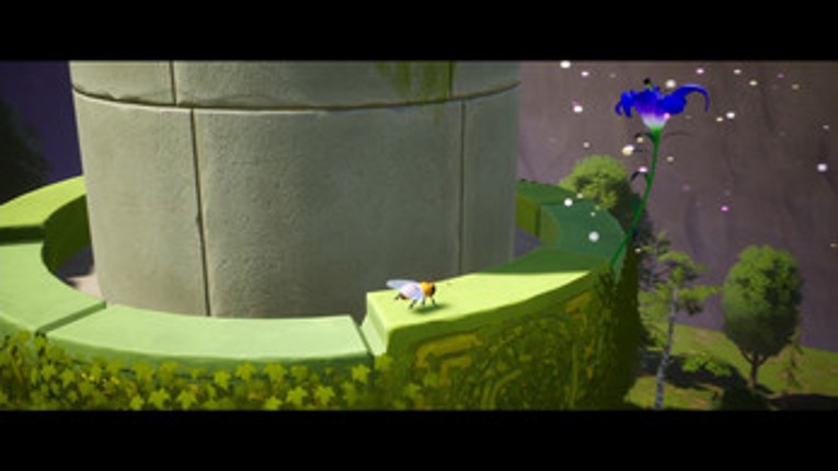 Bloom Image