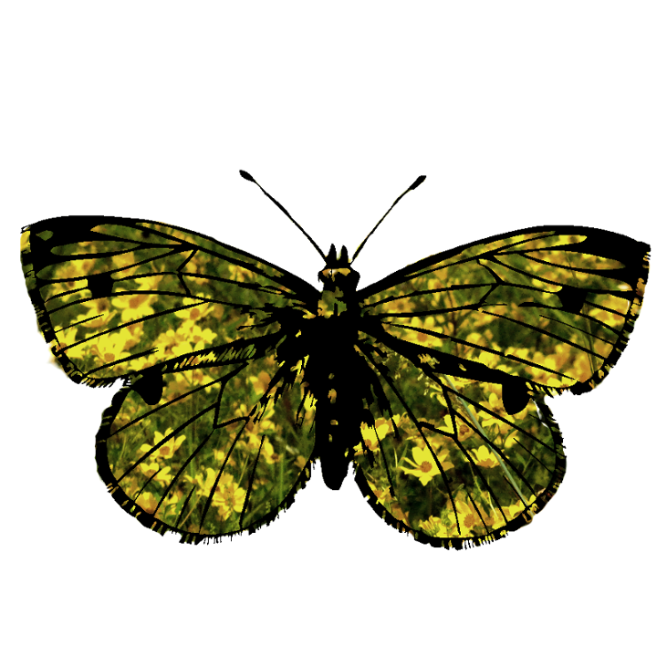 Games like You Live And Fern