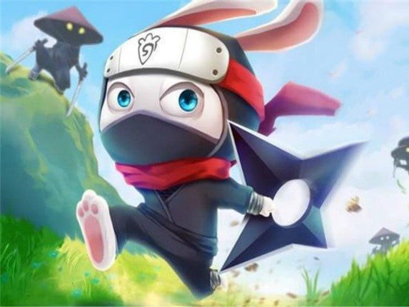 Ninja Rabbit Image