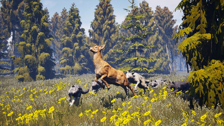 Susia - Wolf Life Simulator Image