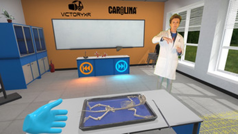 VR Cat Dissection: Purr-fect Procedure Image