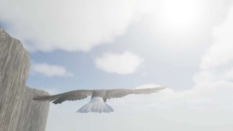 Bird Game 3 Image