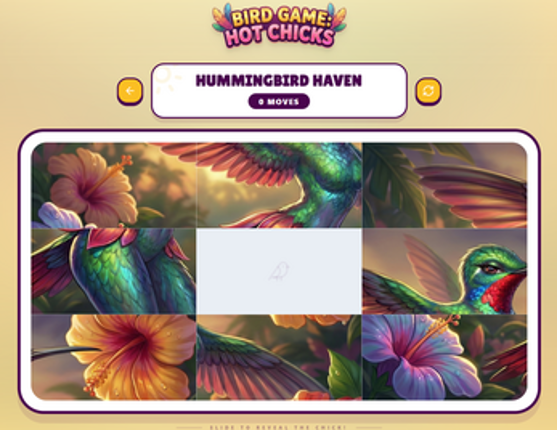Bird Game: Hot Chicks Image