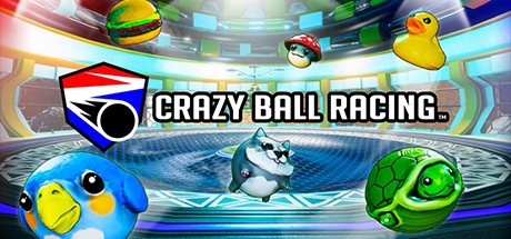 Games like Crazy Ball Racing™