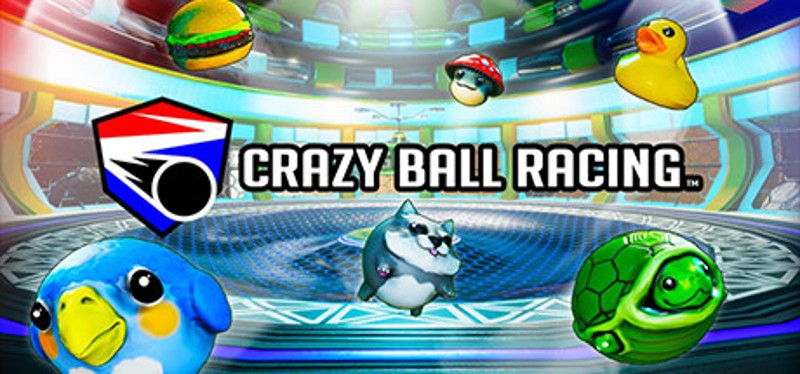 Crazy Ball Racing™ Image