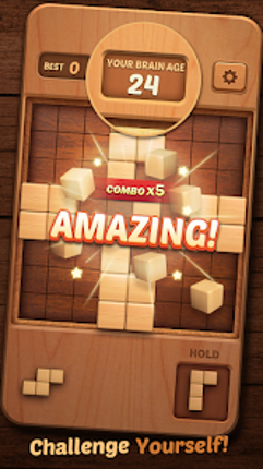 Wood Block Puzzle 3D screenshot