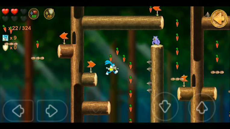 Bunny Jump and Run Image
