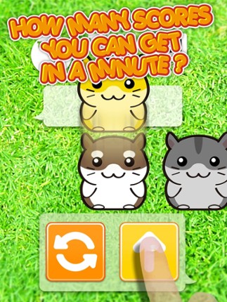 Hamster Dojo - Best Fun Pocket Games Play With My Littlest Pet Hamsters screenshot