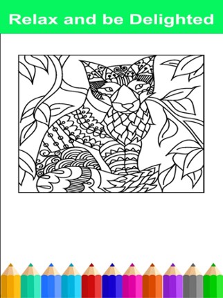 Mandala Adult Coloring Book Free Stress Relieving Image