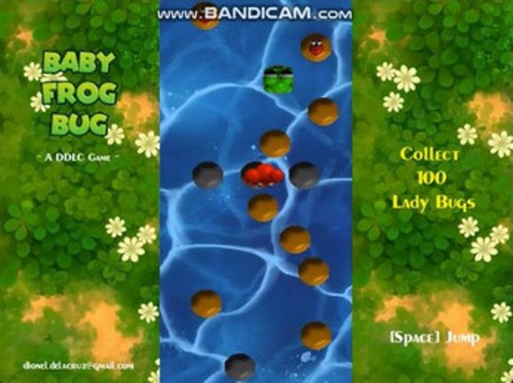Baby Frog Bug Image