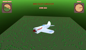 Mini Flight Simulator Image