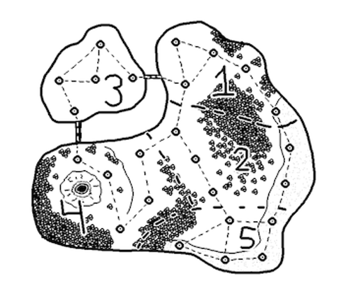 Pet Island Image