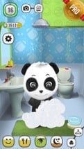 ! My Talking Panda MO - Virtual Pet PRO Image