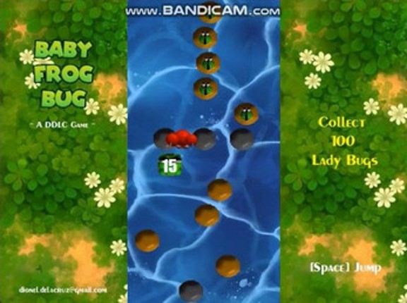 Baby Frog Bug Image