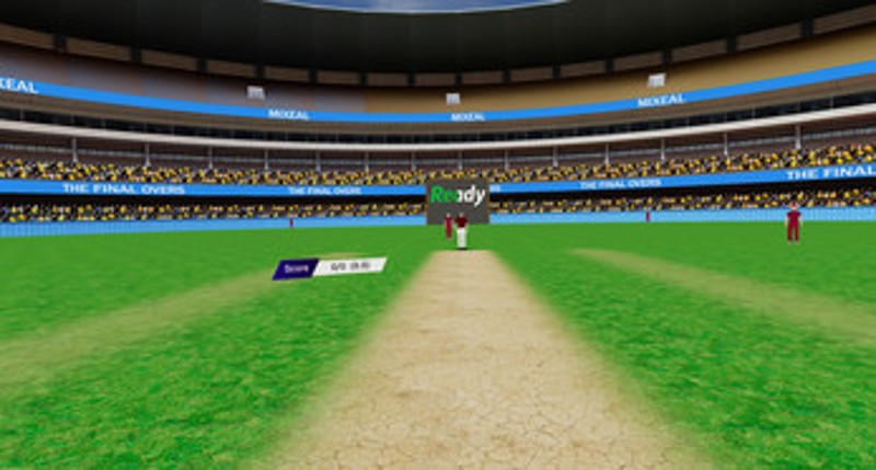 Final Overs - VR Cricket Image