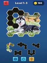 Hexa Jigsaw Collection HD Image