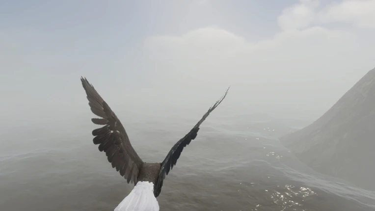 Bird Game 3 screenshot