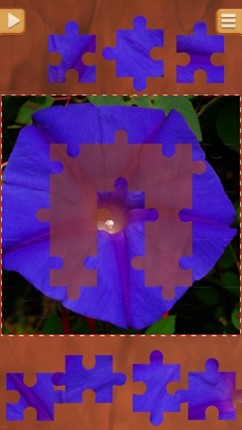 Flower Jigsaw Puzzles - Relaxing Puzzle Game screenshot