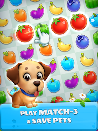 Pet Savers: Travel to Find & R Image