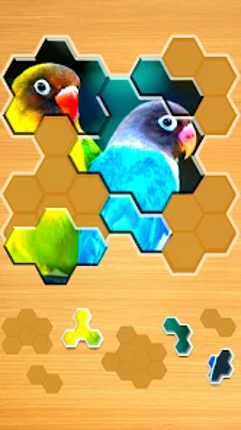 Jigsaw Puzzles Hexa screenshot