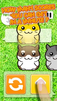 Hamster Dojo - Best Fun Pocket Games Play With My Littlest Pet Hamsters screenshot