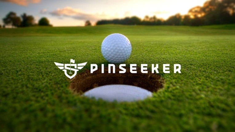PinSeeker Game screenshot