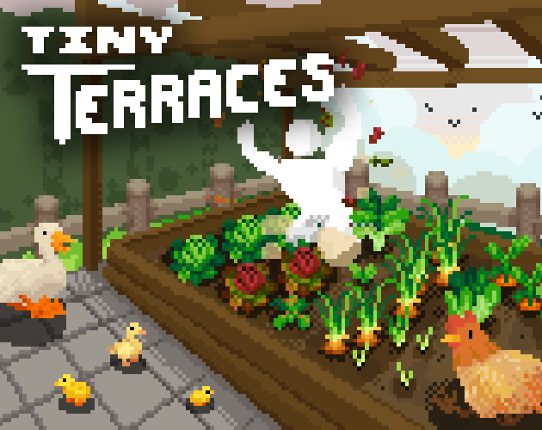 Tiny Terraces Image