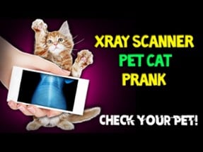 Xray Scanner Pet Cat Prank Image