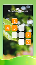 Vita Numberscapes Link Puzzle Image