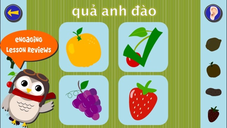Gus on the Go: Vietnamese Image