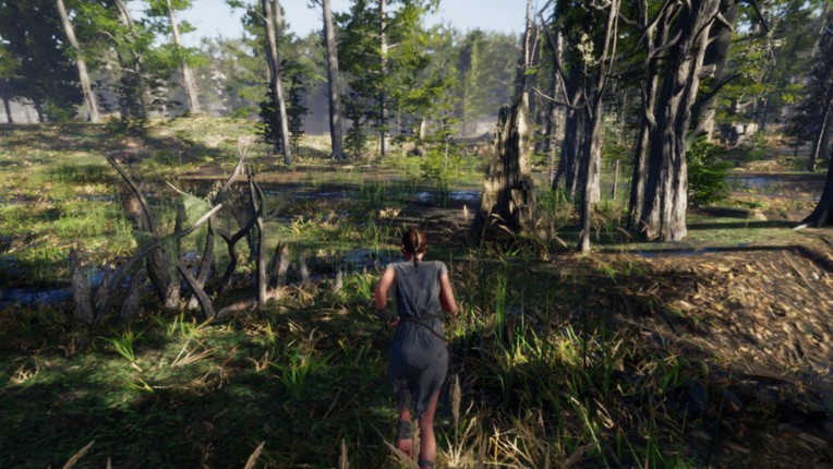 After Nightfall Image