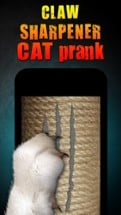 Claw Sharpener Cat Prank Image