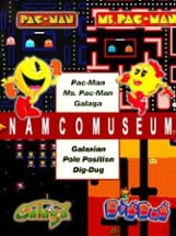 Namco Museum Image