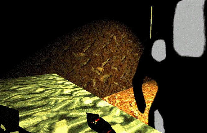 WOODS Image